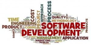 Customised Software Development