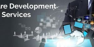 Software Customization Services