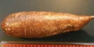 Cassava
