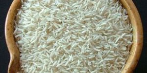 1121 White Sella Rice
