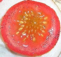 Tomato Seeds