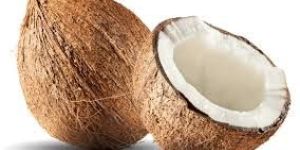 Fresh Coconut