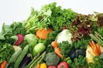 Fresh Vegetables