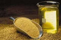 Soy Extract