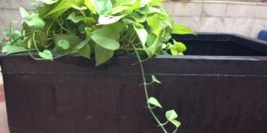 Portable Vegetable Growing Pot