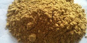 Dehydrated Green Ginger Powder