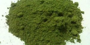 Dehydrated Green Mint Powder