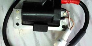 Three Wheeler Ignition Coil