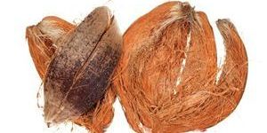 Coconut Waste
