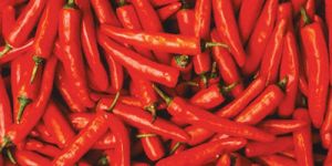 Fresh Red Chilli
