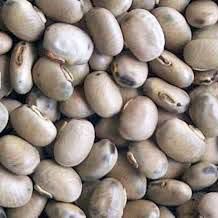 Mucuna Pruriens Seeds