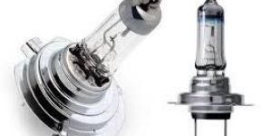 Auto Halogen Bulb