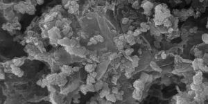 Iron Oxide Nanoparticles
