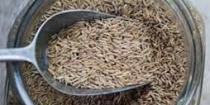 Cumin Seeds