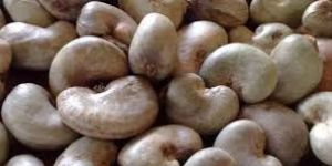 Raw Cashew Nuts