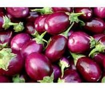Fresh Brinjals