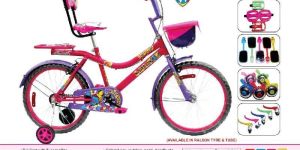 Junior Series Bicycles