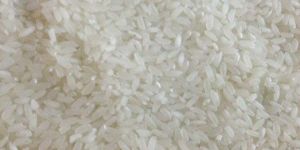 Swarna Rice