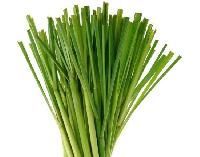 Lemon Grass