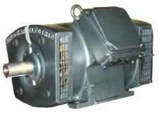 Squirrel Cage Induction Motor