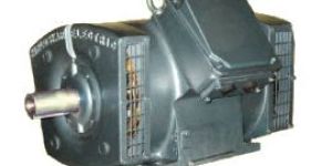 Squirrel Cage Motors