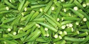 Fresh Okra