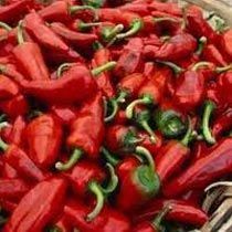 Fresh Red Chilli