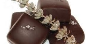 Chocolates, Kodai Chocolates, Homemade Chocolates, Hills Chocolates, Kodaikanal Chocolates, Milk Chocolates