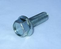 Flange Screw