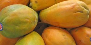 Fresh Papaya