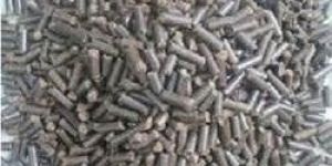 Bagasse Briquettes