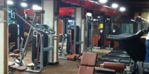 Multi Adjustable Bench