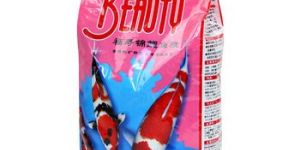 FAXIBLE Packaging Bags