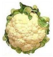 Cauliflower