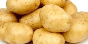 Potato Suppliers