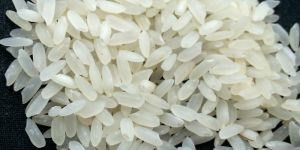White Short Grain Rice