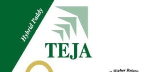 Teja Hybrid Paddy Seeds