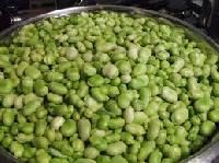 Broad Beans