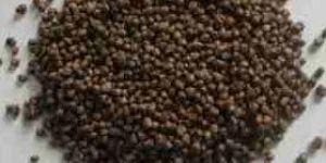 Diammonium Sulphate Granules