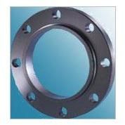 Titanium Flanges
