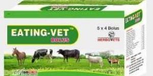 Eating Vet Bolus