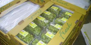 Fresh Table Grapes