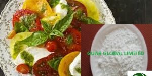 Guar Gum Powder for Sauce and Salad