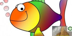 Guar Korma Fish Feed