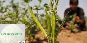 Pure Guar Gum Powder