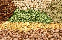 Organic Pulses