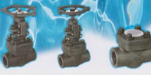 Forged Gate Globe Valves, Lift Check Valves