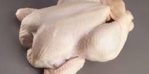 Frozen Chicken