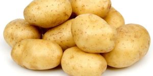 Fresh Potato