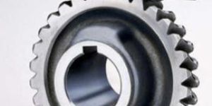 Automotive Worm Gear